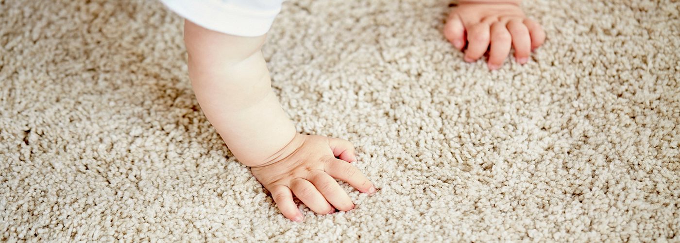 Kid Friendly Rug/Carpet Cleaning